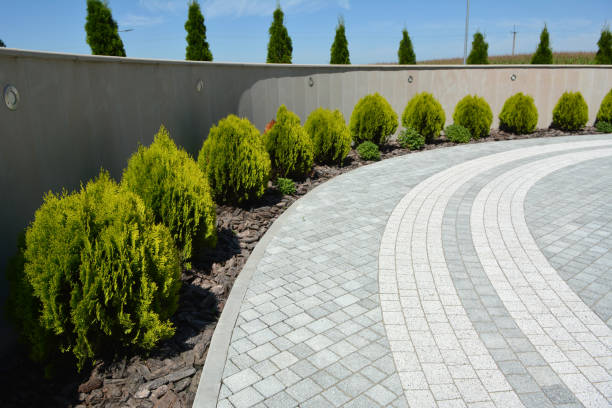 Reasons to Select Us for Your Driveway Paving Requirements in Byhalia, MS